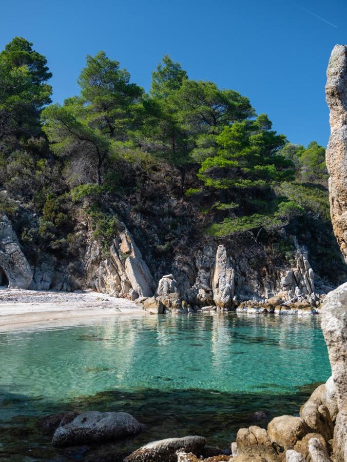 Thespis Villa 3 Συκιά Εξωτερικό φωτογραφία